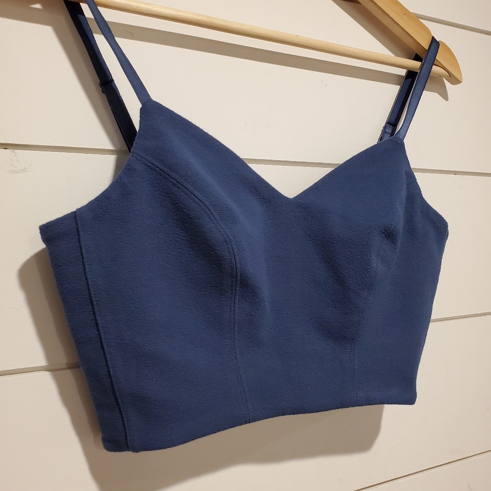 Babaton Blue Crop Top